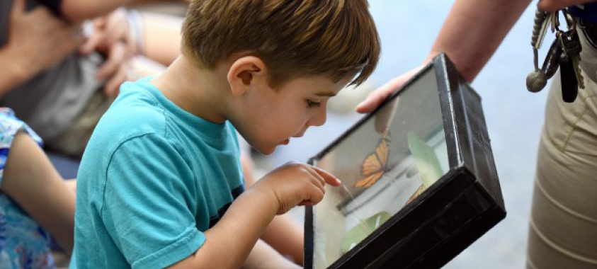 Join ECHO: A Unique Opportunity for Families in Clarkston to Engage in Early Learning