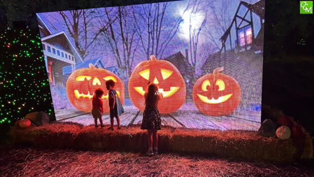 Costumes and Candy: Experience Trick or Treat at Michigan’s Farmers Market