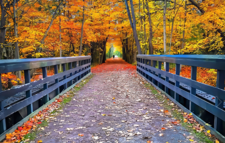 Paint Creek Trail