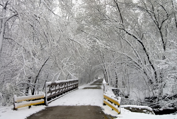 Paint Creek Trail